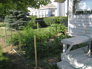 whole garden
